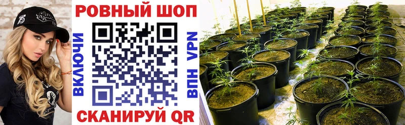 Купить наркотик аптеки Ессентукская Каннабис  Кокаин  Меф 