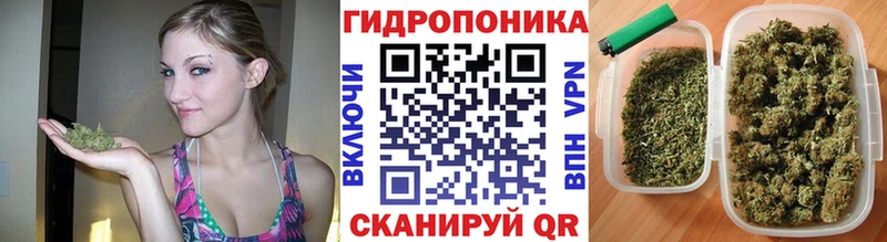 Бошки марихуана Ganja  Ессентукская 